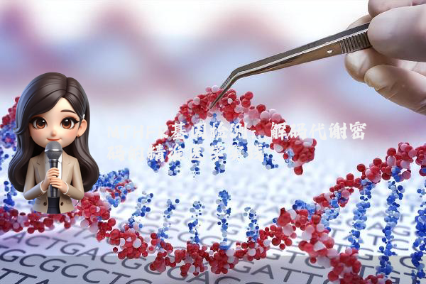 MTHFR基因检测：解码代谢密码的精准医学实践